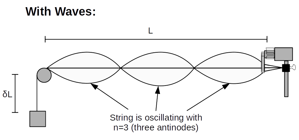 An oscillation string, n=3